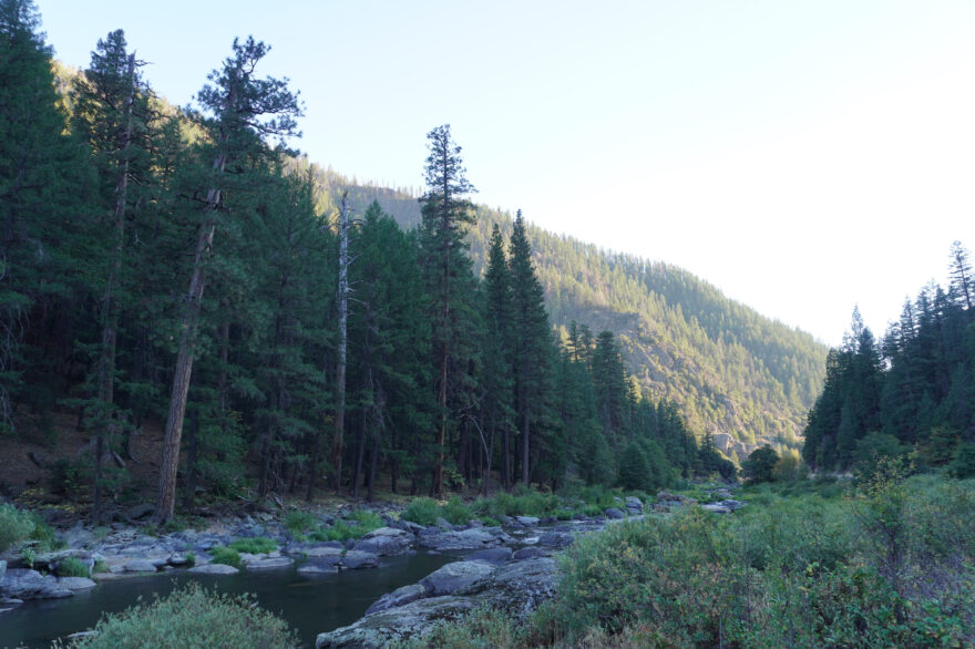 Plumas National Forest